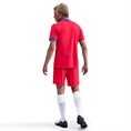 Nike psg m nk df short stad 3r