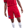 Nike psg m nk df short stad 3r