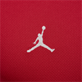 Nike psg m nk df strk ss top k 4th