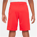 Nike psg y nk df short stad 3r