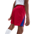 Nike psg y nk df short stad 3r