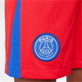 Nike psg y nk df short stad 3r