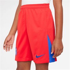 Nike psg y nk df short stad 3r