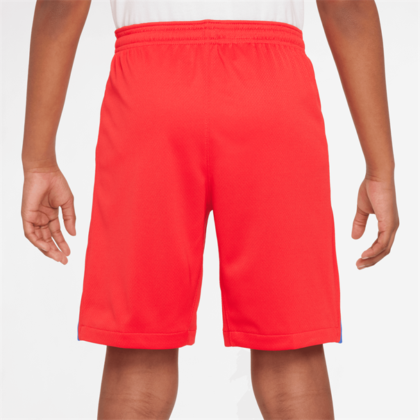 Nike psg y nk df short stad 3r