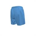 Nike Swim Essential Lap 4" Volley Short