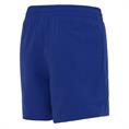 Nike Swim Essential Lap 4" Volley Short