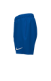 Nike Swim Essential Lap 4" Volley Short