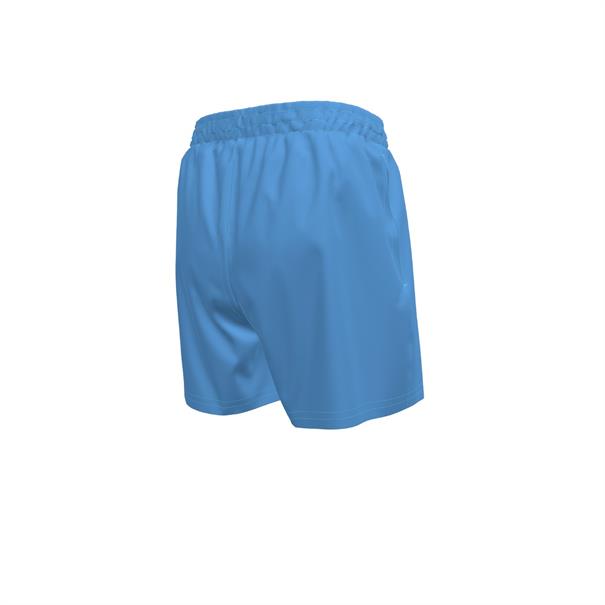 Nike Swim Essential Lap 4" Volley Short