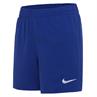Nike Swim Essential Lap 4
