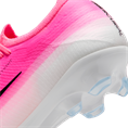 Nike vapor 17 pro fg t