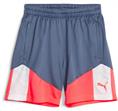 Puma individualcup shorts jr