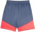 Puma individualcup shorts jr