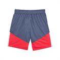Puma individualcup shorts