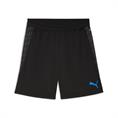 Puma individualcup training shorts