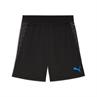 Puma individualcup training shorts