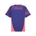 Puma individualfinal jersey