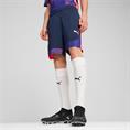 Puma individualfinal shorts