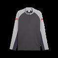 Puma individualliga 1/4 zip top