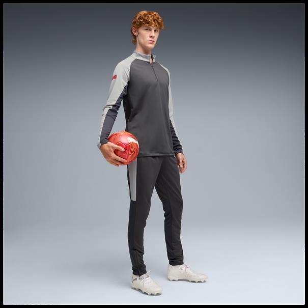 Puma individualliga 1/4 zip top