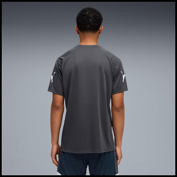 Puma individualliga graphic jersey