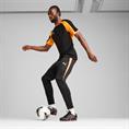 Puma individualliga jersey