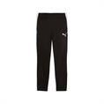 Puma individualliga training pants