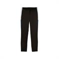Puma individualliga training pants