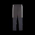 Puma individualliga training pants