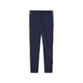 Puma individualliga training pants