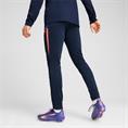 Puma individualliga training pants
