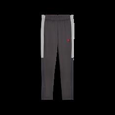 Puma individualliga training pants