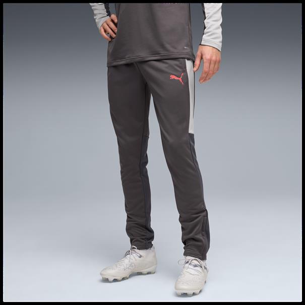 Puma individualliga training pants
