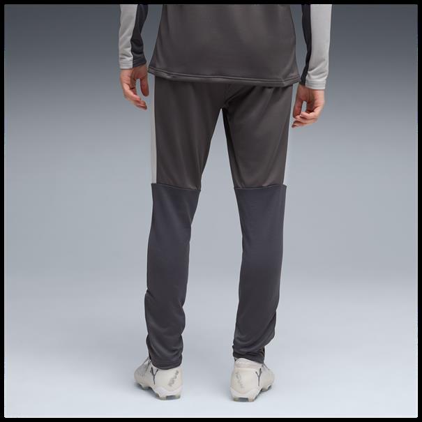 Puma individualliga training pants