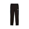 Puma individualliga training pants