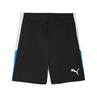 Puma individualliga training shorts 2 (open pockets)