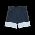 Puma individualliga training shorts jr