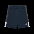 Puma individualliga training shorts