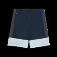 Puma individualliga training shorts
