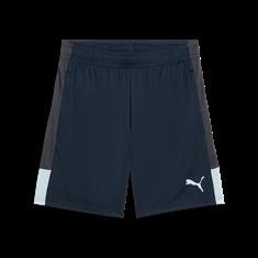 Puma individualliga training shorts