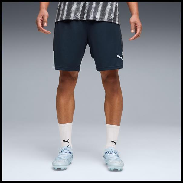 Puma individualliga training shorts