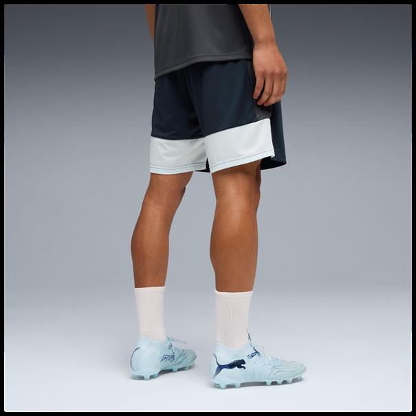 Puma individualliga training shorts