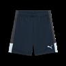 Puma individualliga training shorts