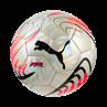 Puma puma future graphic ball