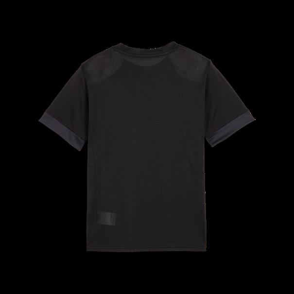 Puma teamgoal matchday jersey jr
