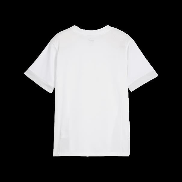 Puma teamgoal matchday jersey jr