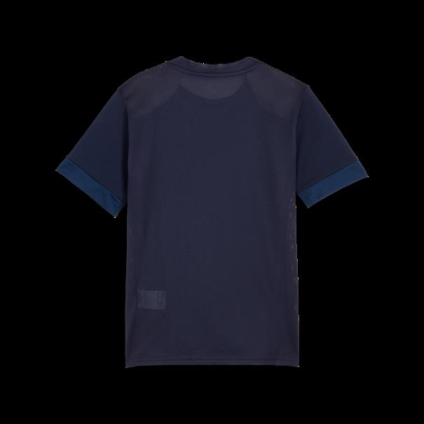 Puma teamgoal matchday jersey jr