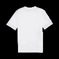 Puma teamgoal matchday jersey