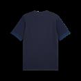 Puma teamgoal matchday jersey