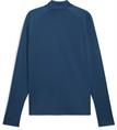 Puma teamliga 1/4 zip top
