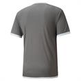 Puma Teamliga Shirt Senior
